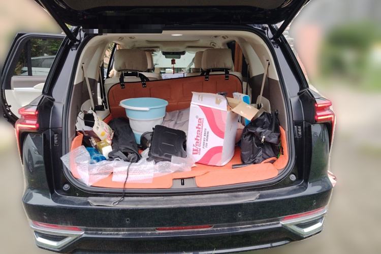 Used Wey Lanshan 2025 Four-Wheel Drive Max