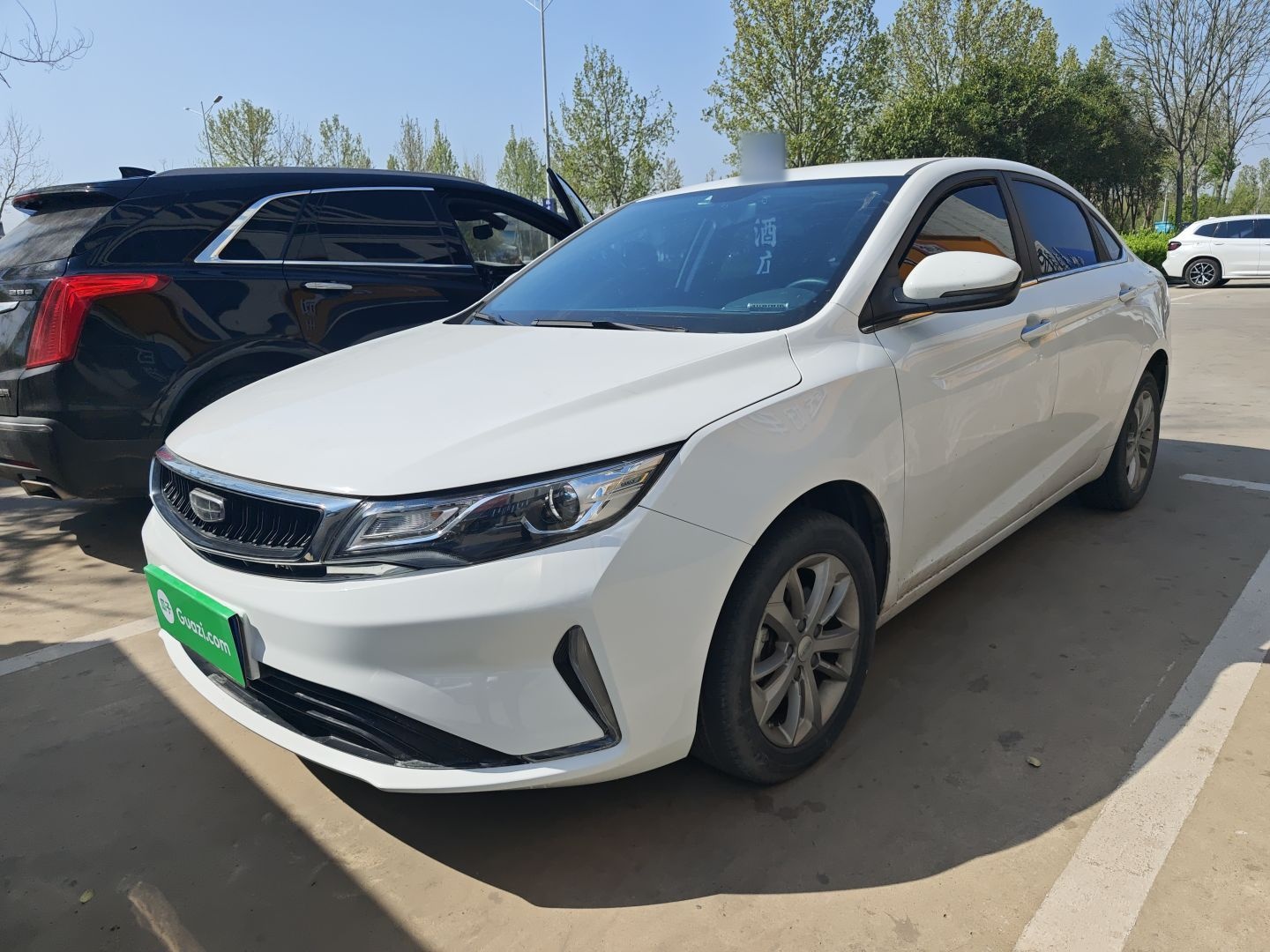 Parte inferior delantera