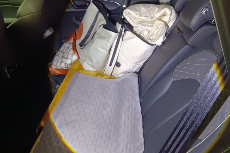 Used Roewe RX5 2021 PLUS 330TGI Automatic National Trend Intelligent Deluxe Edition Left Rear Seat