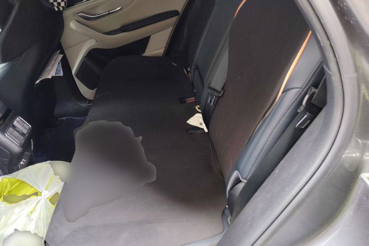 Used BYD Song PLUS New Energy 2023 Champion Edition EV 520KM Prestige Model Left Rear Seat