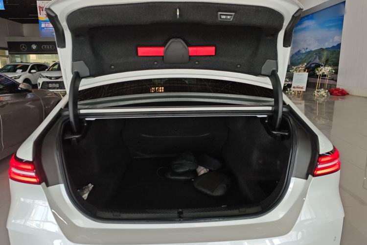 Used BMW 5 Series 2024 530Li Luxury Package Premium Edition
