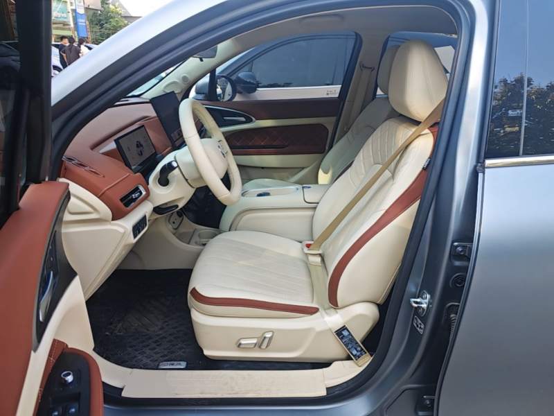Used ORA Good Cat 2025 Model, 430 km Prestige Version — 14