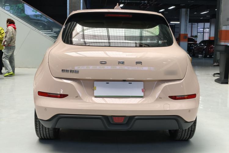 Used ORA Good Cat 2023 401 km Standard Range Luxury Version Lithium Iron Phosphate
