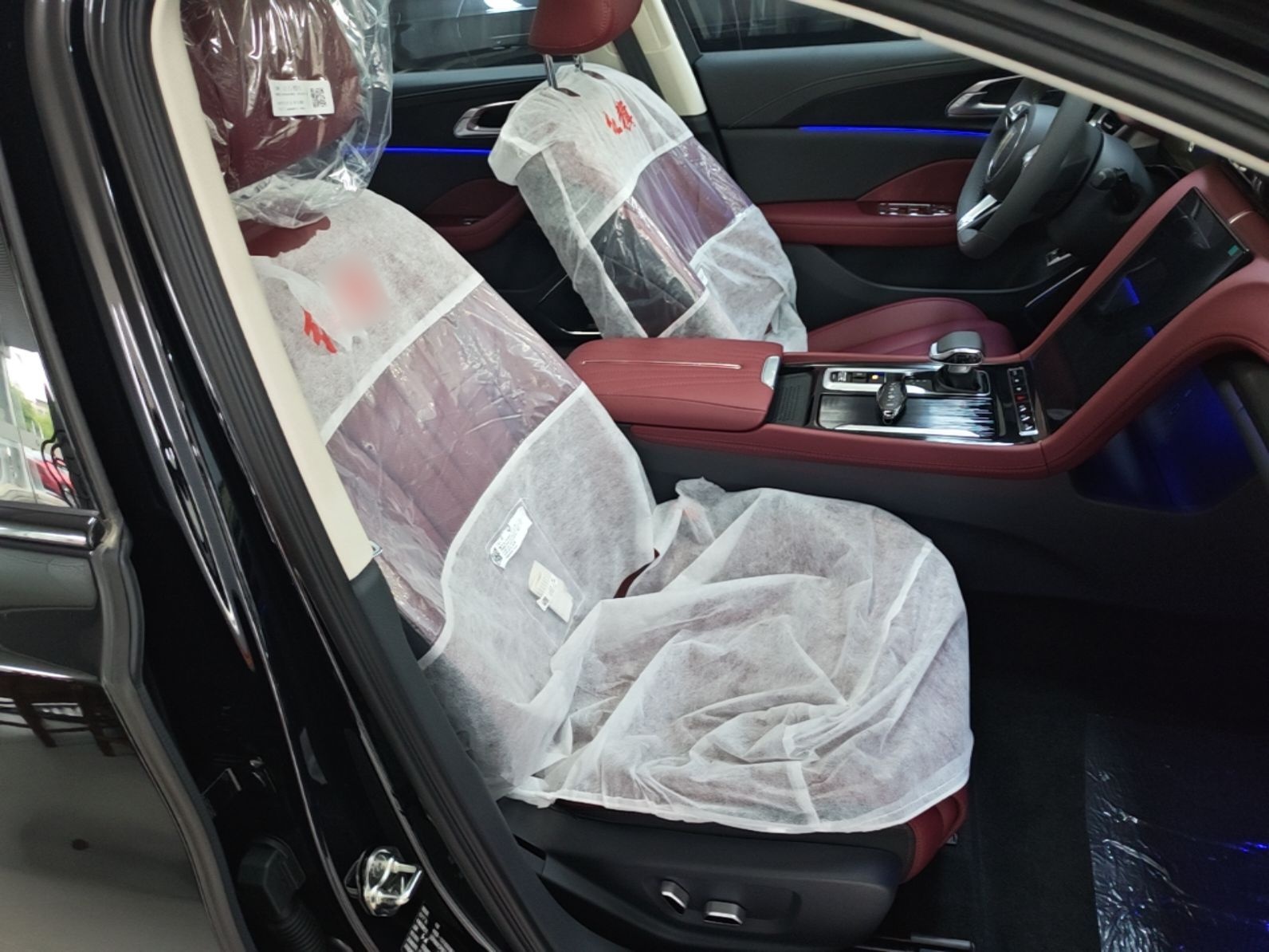 Hongqi H5 2025 Model 2.0T Automatic Xuan Ying 2 Million Units Commemorative Edition — снимка 19