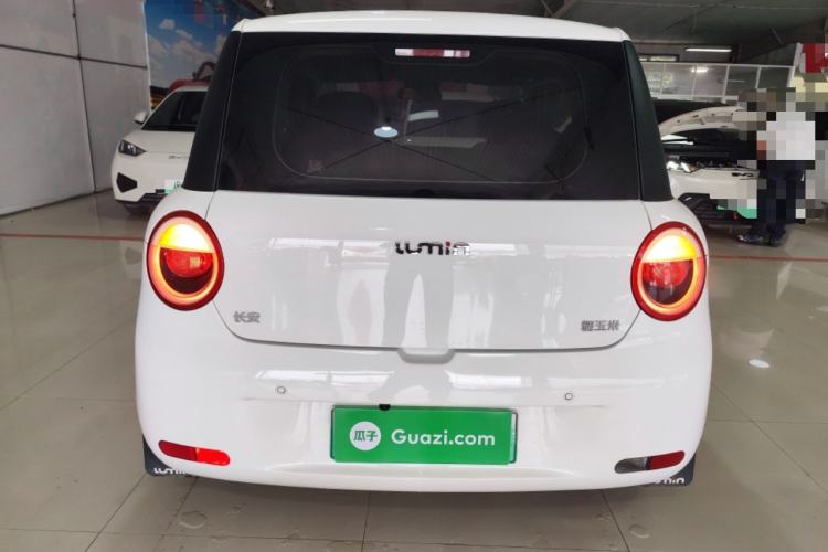 Used CHANGAN NEVO Lumin 2023 205km Xiangqin Version