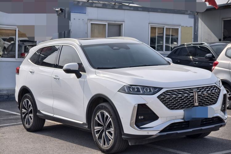 Used Wey Latte DHT 2022 1.5T DHT Big Cup
