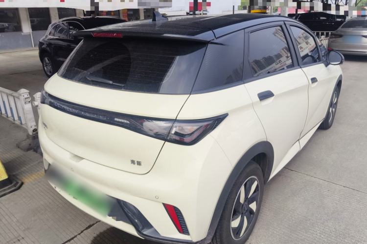 Used BYD Dolphin 2025 420km Free Edition Rear Right 45 Deg