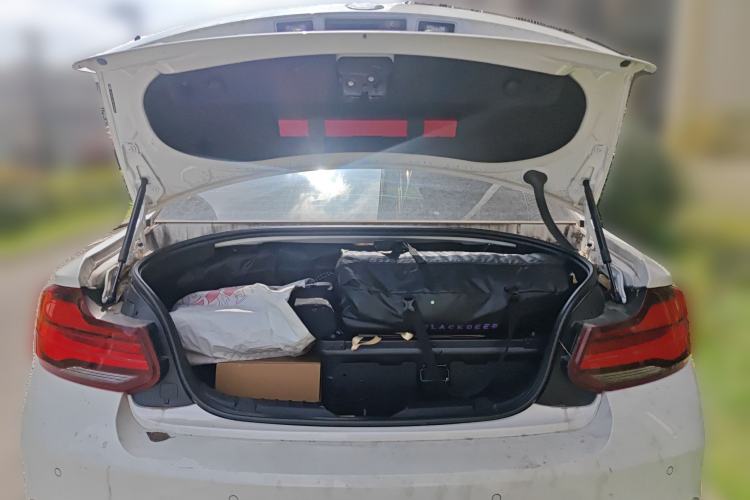 Used BMW 2 Series (Import) 2019 225i Luxury Model with M Sport Package