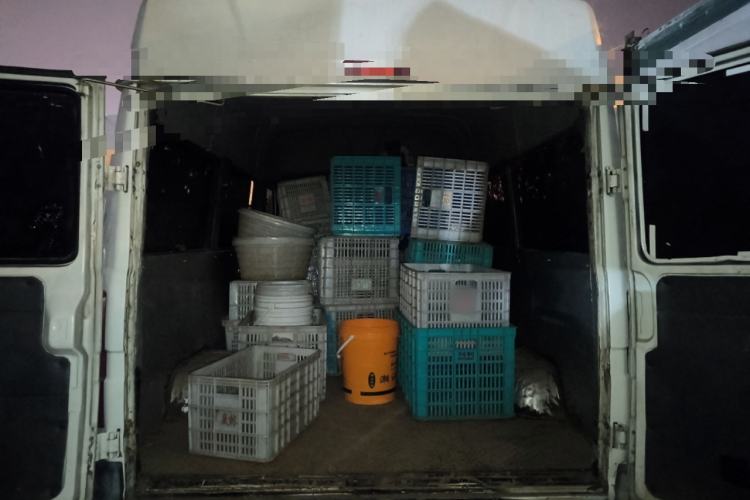 Used Iveco Daily 2014 2.5T-A35 NJ6484ACM47Z4