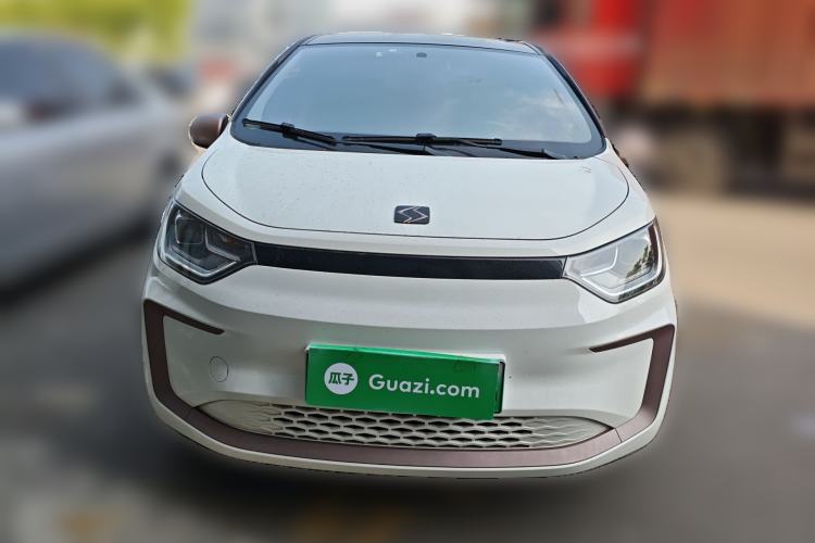 Used SOL E10X 2022 Flower Fairy Style Baby's Breath Front