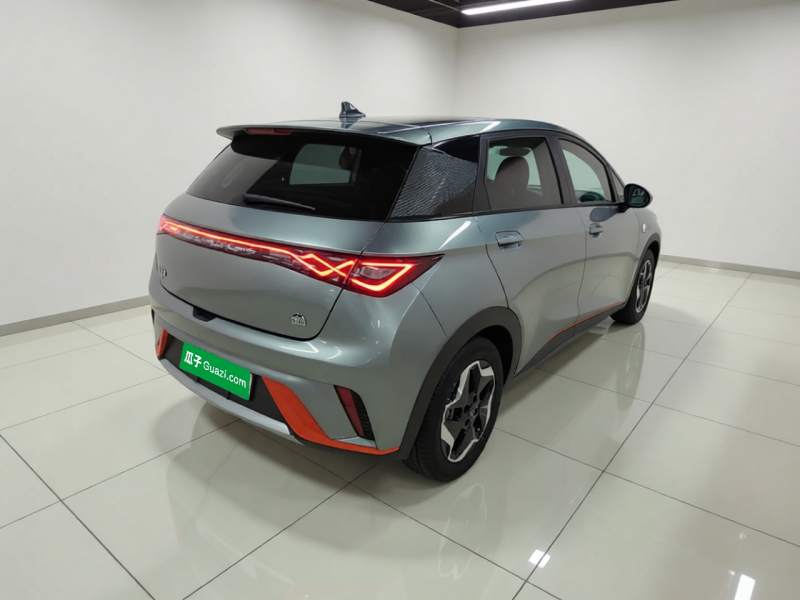 Used BYD Dolphin 2021 405 km Fashion Edition — 6
