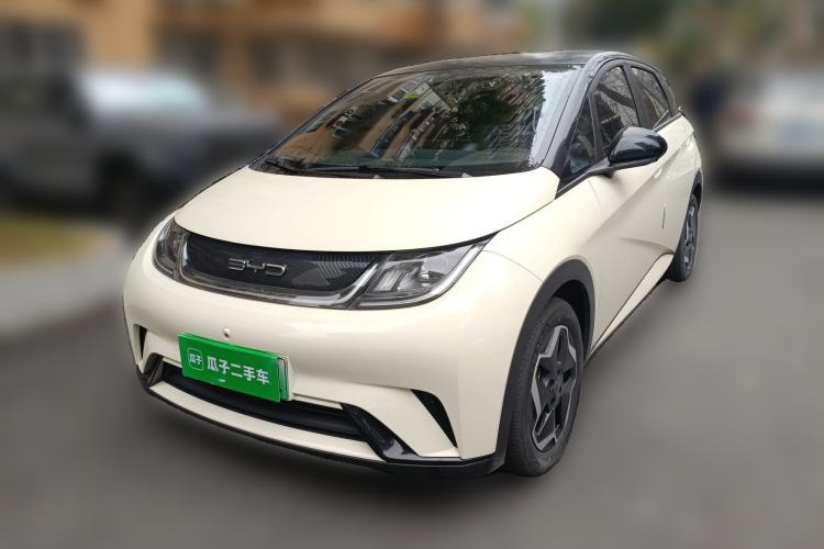 Used BYD Dolphin 2021 405 km Free Version