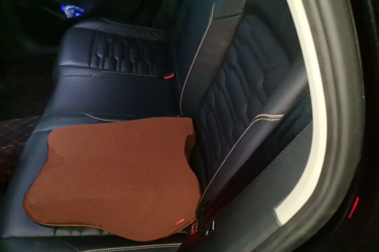 Used Volkswagen Passat 2021 330TSI Elite Edition Left Rear Seat