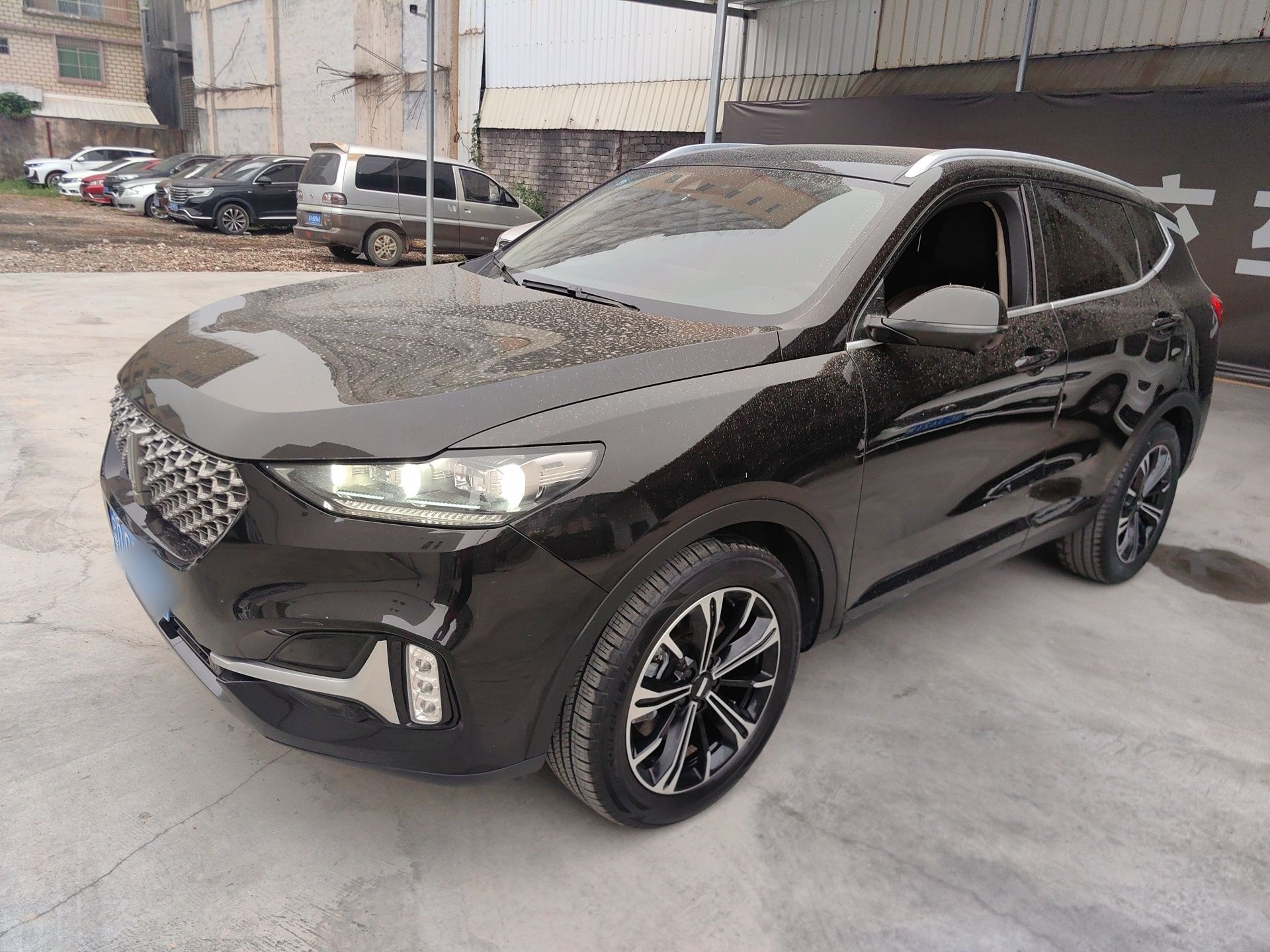 Parte inferior delantera