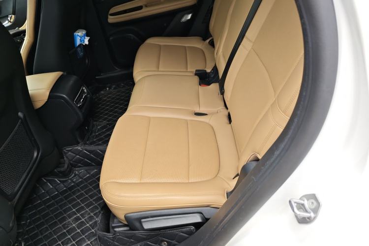 Used Lincoln Corsair 2021 2.0T Two-Wheel-Drive Luxury Edition Left Rear Seat