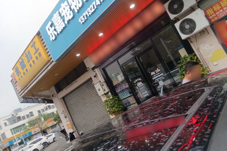 Used ORA Good Cat GT 2022 Mulan Edition 480km Long-Range续航 Roof