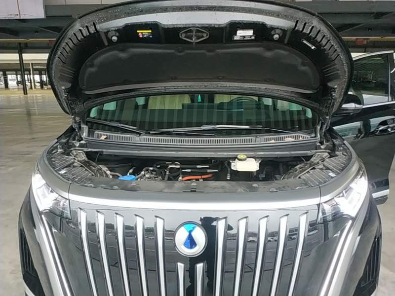 Used Denza D9 2024 EV 600 Four-Wheel-Drive Flagship Model — 19