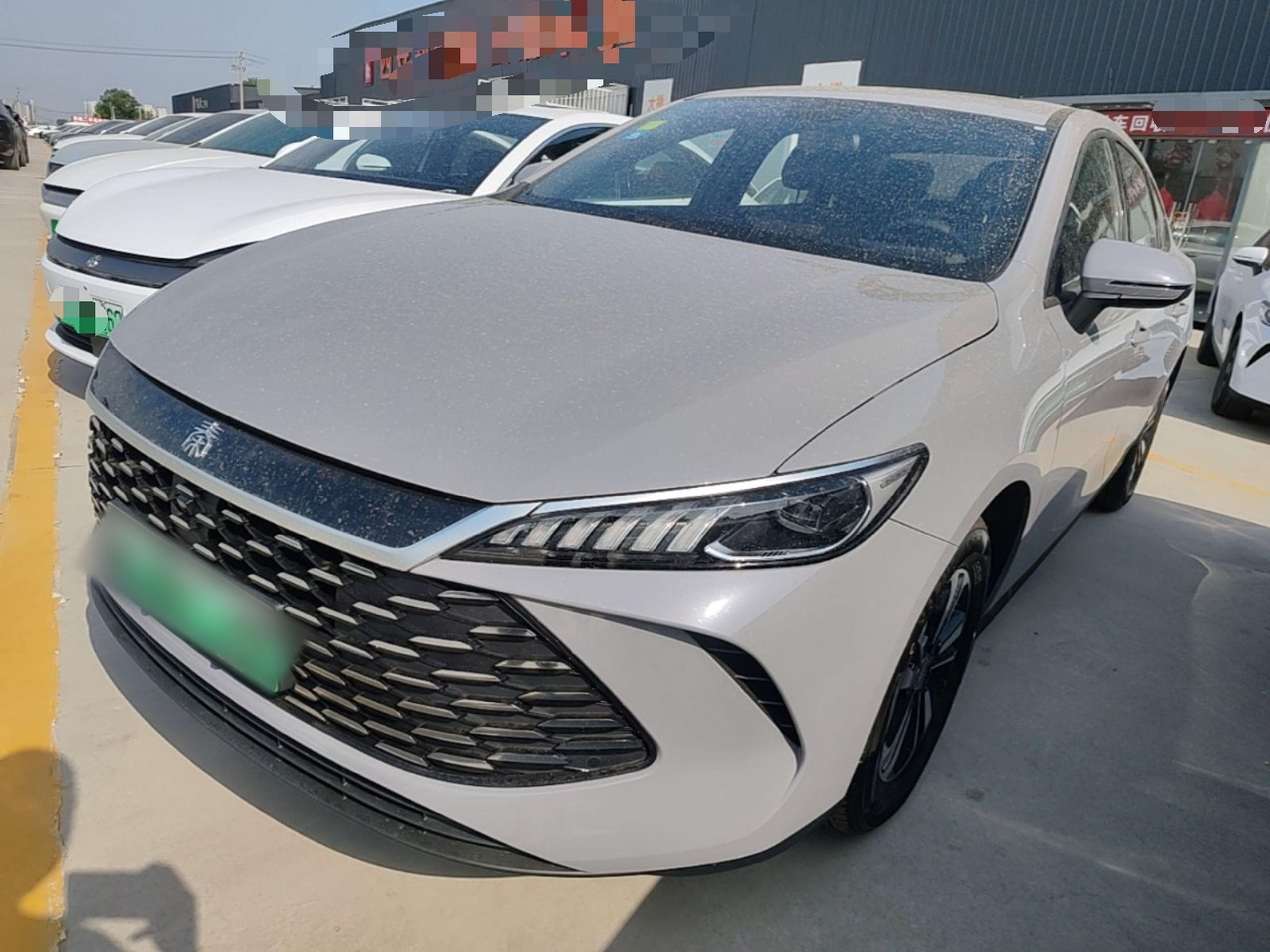 Under Front Bumper