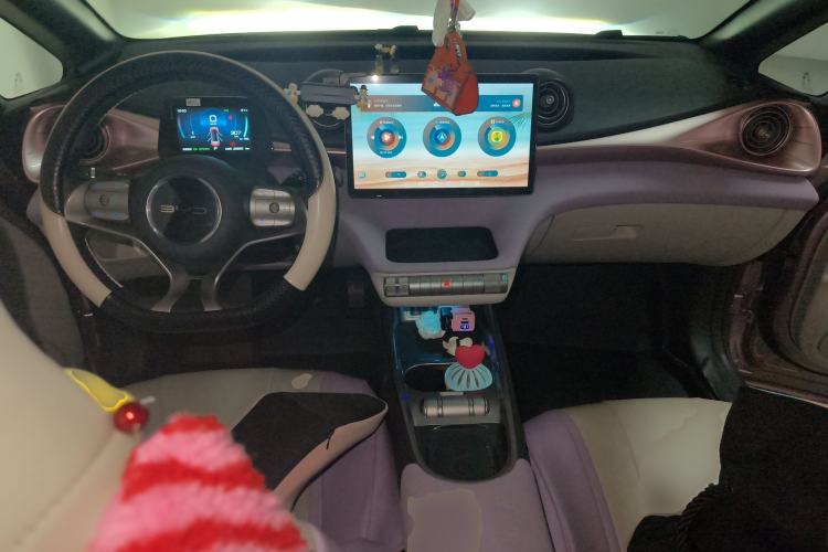 Used BYD Dolphin 2021 405 km Fashion Edition Center Console