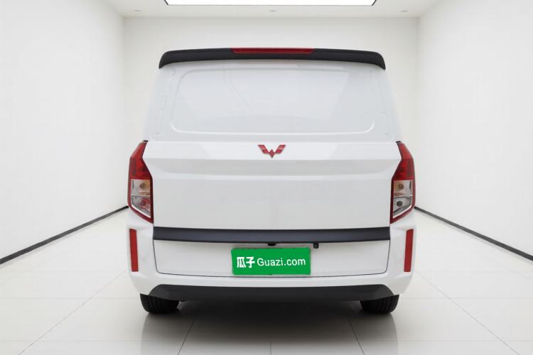 Used Wuling Hongguang PLUS 2019 1.5T Manual Wealthy Version 2 Seats

