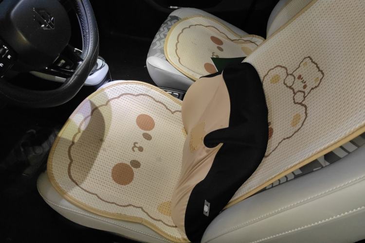 Used Leapmotor T03 2022 Star Diamond Edition
