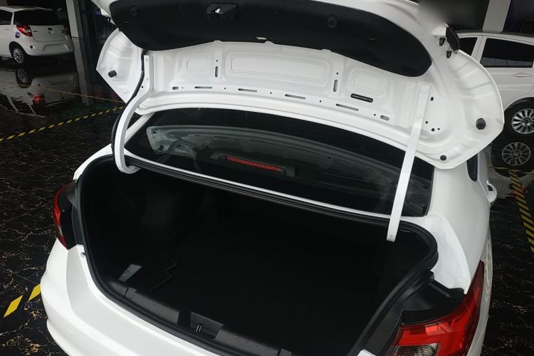 Used SINOGOLD Junxing 2023 Standard Model Trunk