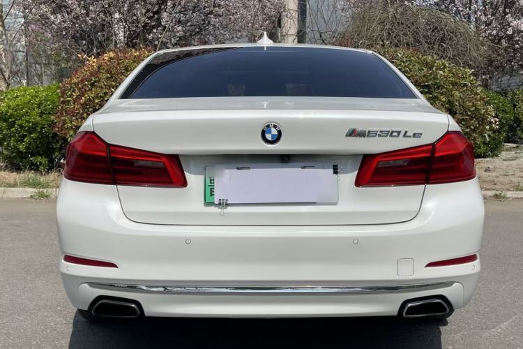 Used BMW 5 Series New Energy 2019 530Le Luxury Package Exterior 6