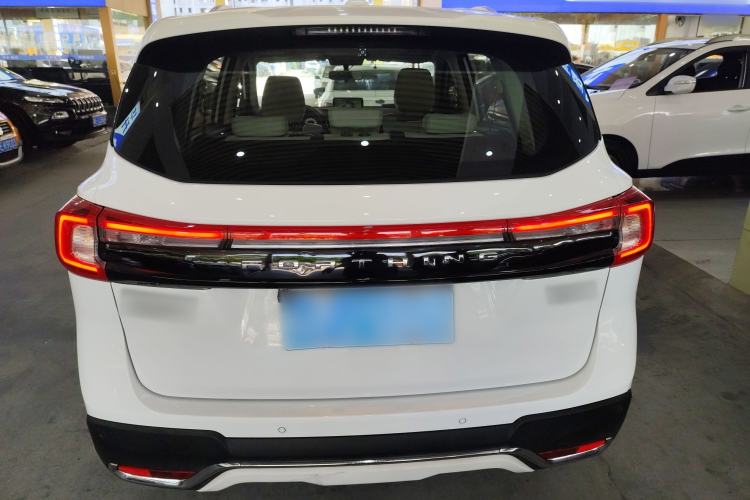 Used FORTHING T5 2020 1.6L Manual Comfort Model China VI Standard