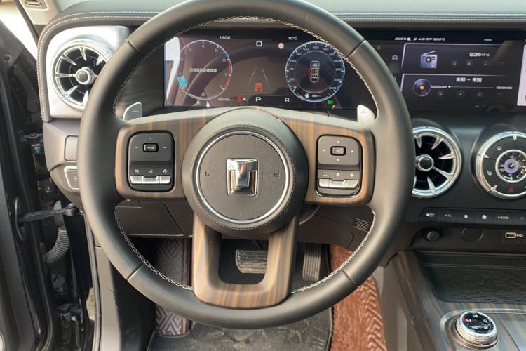 Used Tank 300 2024 2.0T Challenger
