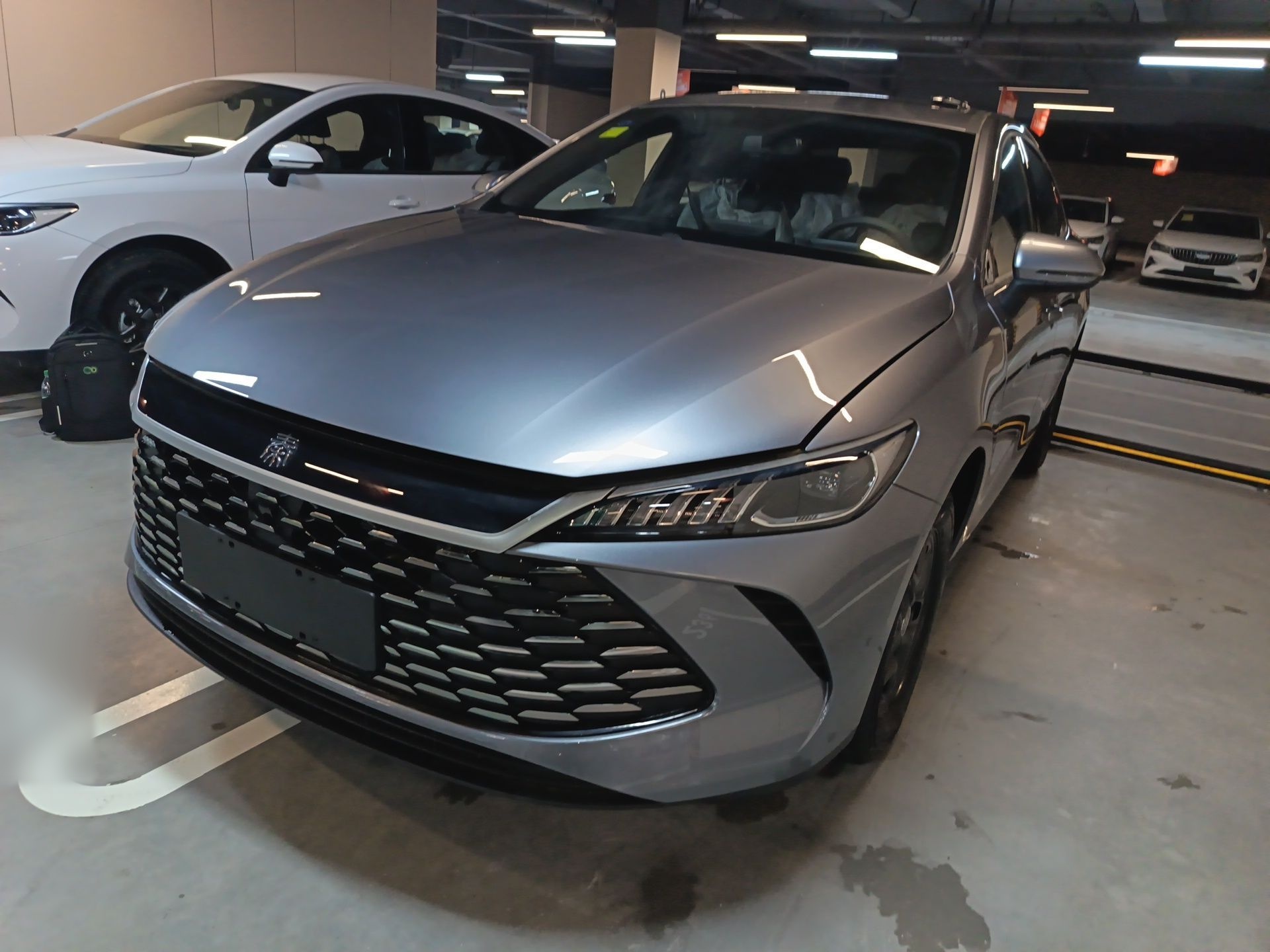 Parte inferior delantera