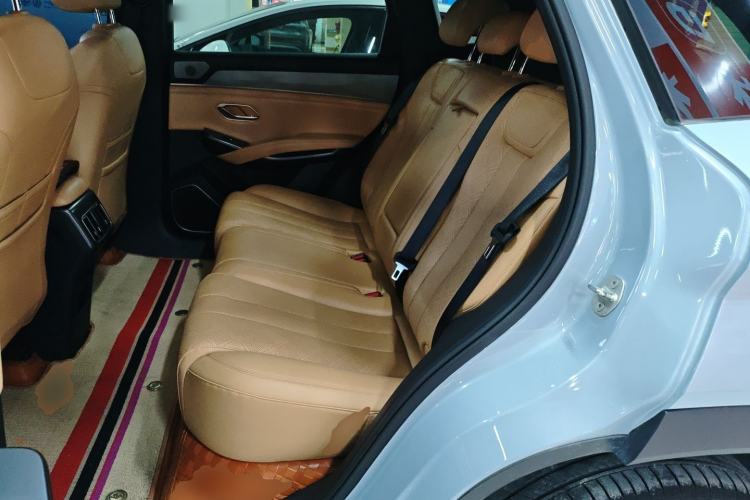 Used BYD Song L DM-i 2024 112 km Leading Edition Left Rear Seat