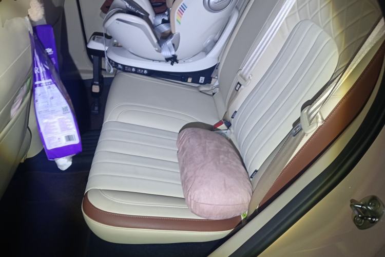 Used ORA Good Cat 2022 Morandi Edition 400km Standard Range Luxury Version Lithium Iron Phosphate Left Rear Seat