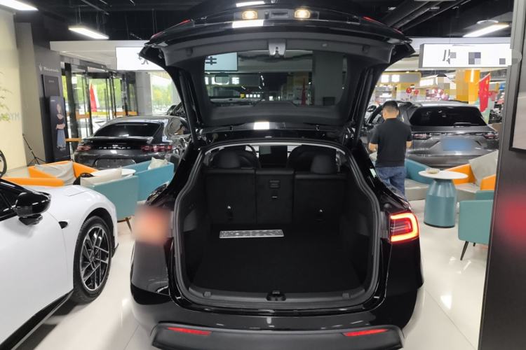 Used Tesla Model Y 2021 Standard Range Rear-Wheel Drive Version
