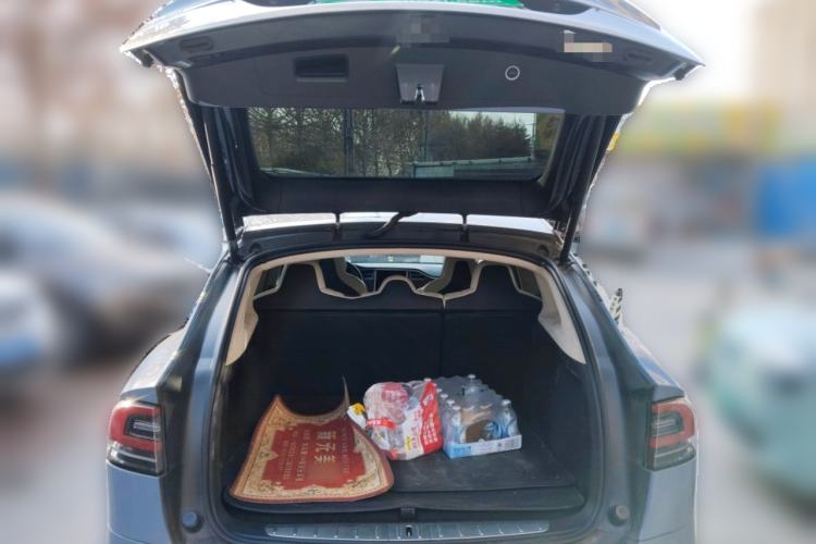 Used Tesla Model X 2017 X 100D Long Range Edition
