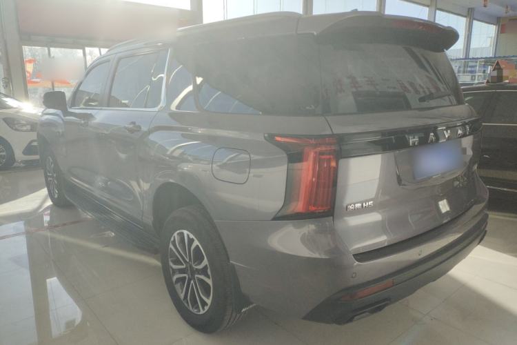 Used Haval H5 2023 2.0T Automatic Two-Wheel Drive LinkedIn Gasoline

