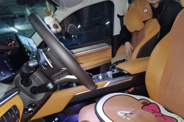 Used Tank 500 New Energy 2024 Hi4-T
