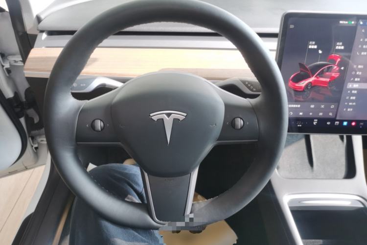 Used Tesla Model 3 2022 Rear-Wheel-Drive Version