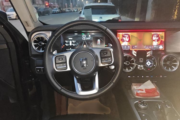 Used Tank 300 2024 2.0T Conqueror
