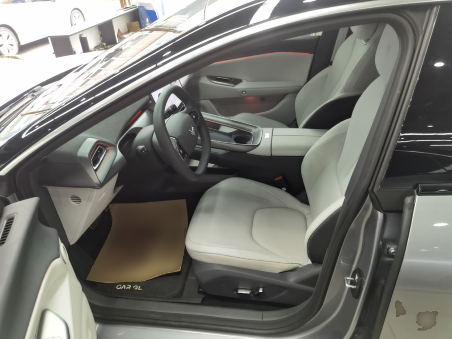 Interior delantero