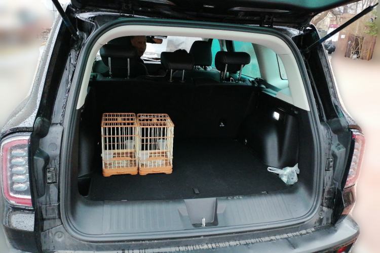 Used Haval DARGO 2022 1.5T DCT Two-Wheel Drive Labrador Edition Trunk