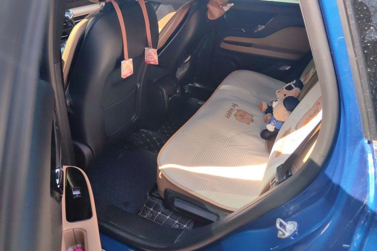 Used Lincoln Corsair 2020 2.0T Four-Wheel Drive Prestige Edition Left Rear Seat