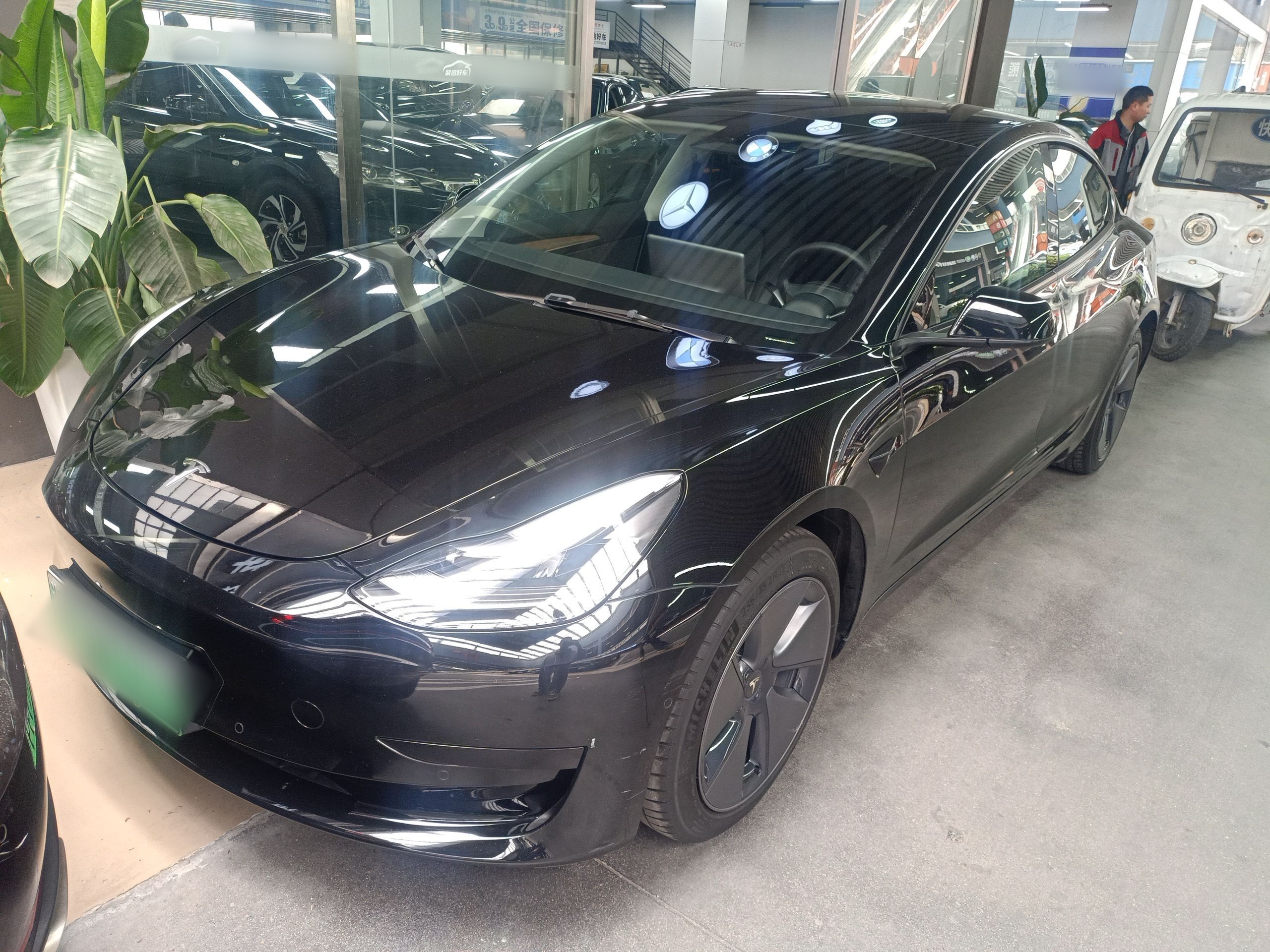 Parte inferior delantera