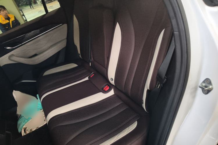 Used Geely Auto Monjaro L 2021 2.0TD High-Power Automatic All-Wheel-Drive Flagship Version Left Rear Seat