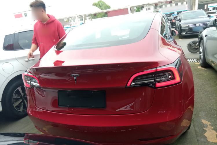 Used Tesla Model 3 2019 Long-Range Rear-Wheel-Drive Version Rear