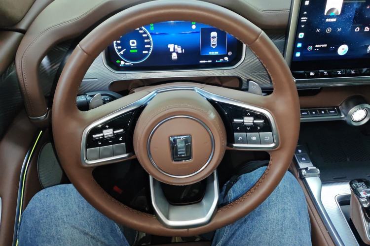 Used Tank 700 New Energy 2024 Hi4-T Extreme Edition Steering Wheel