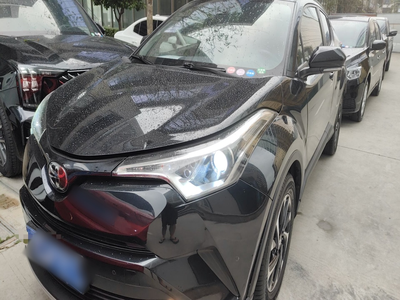 تحت مقدمة السيارة