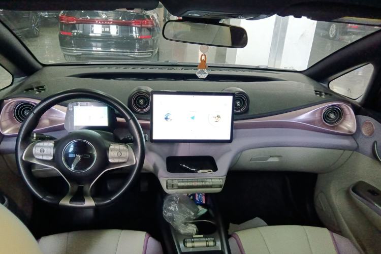 Used BYD Dolphin 2021 405 km Fashion Edition Center Console