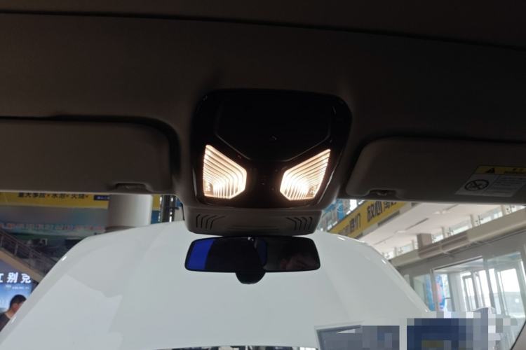 Used BMW X3 2020 xDrive25i Luxury Package Headliner