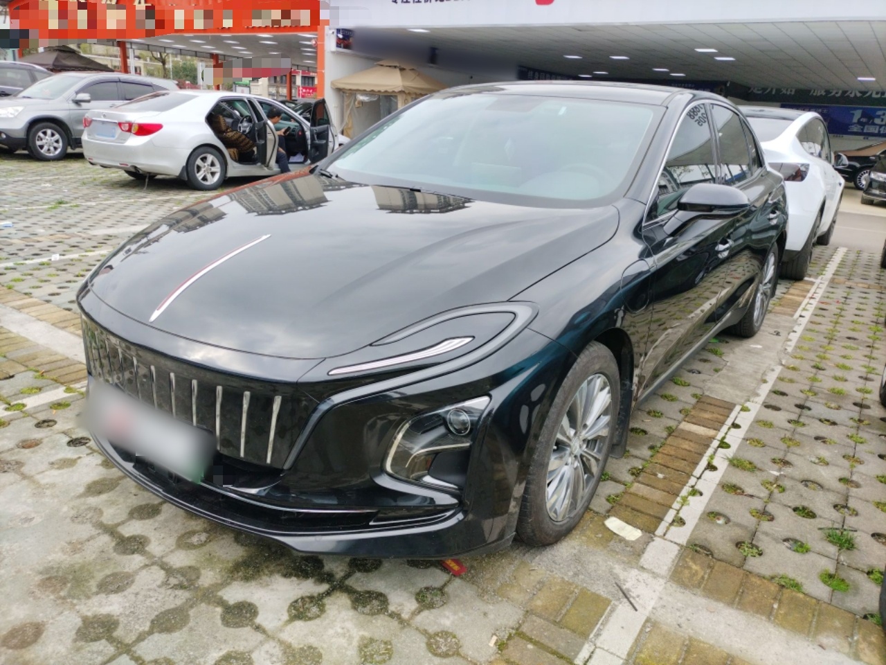 تحت مقدمة السيارة