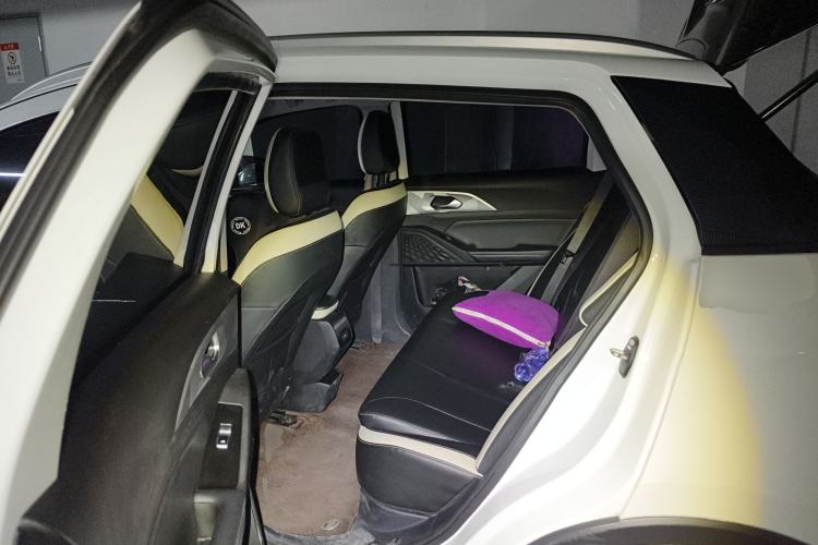 Used Geometry E Firefly 2023 401KM Linglong Tiger 5-Seater